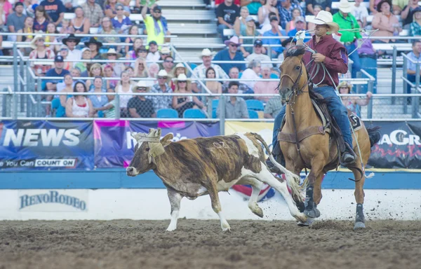 Reno Rodeo — Stock Photo, Image