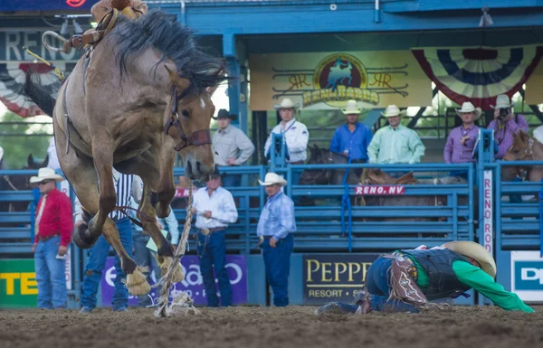 Rodeio de Reno — Fotografia de Stock