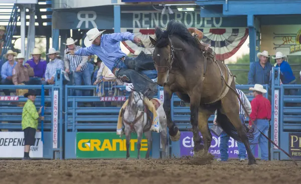 Rodeo de Reno — Foto de Stock