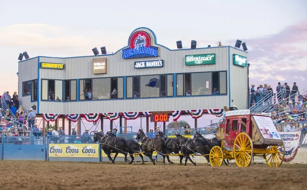 Reno Rodeo — Stock Photo, Image