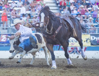 Reno Rodeo