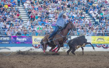 Reno Rodeo