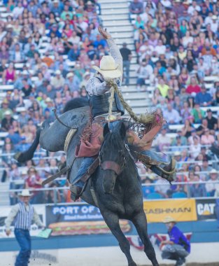 Reno Rodeo