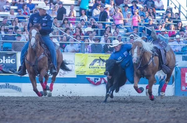 Rodeio de Reno — Fotografia de Stock