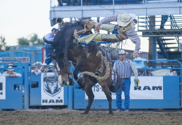 Reno Rodeo — Stockfoto