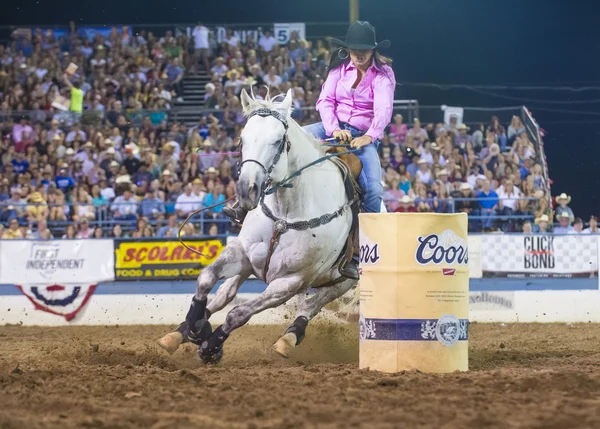 Rodeo de Reno — Foto de Stock