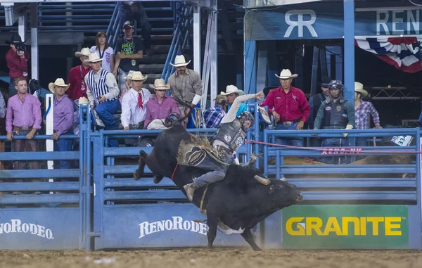 Reno Rodeo — Stock Photo, Image