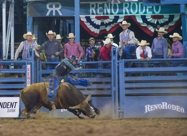 Rodeio de Reno — Fotografia de Stock