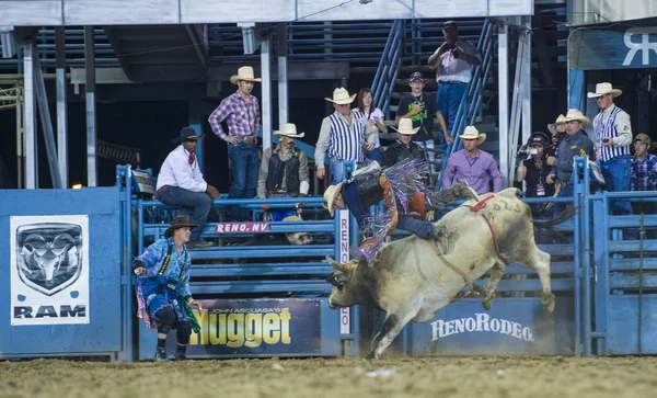 Reno Rodeo — Zdjęcie stockowe