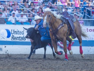 Reno Rodeo