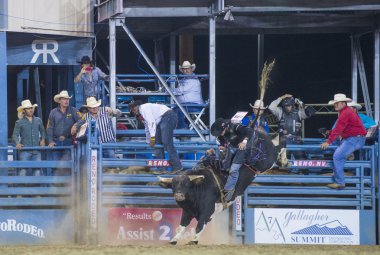 Reno Rodeo