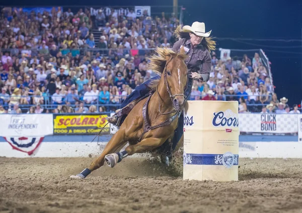 Reno Rodeo — Stock fotografie