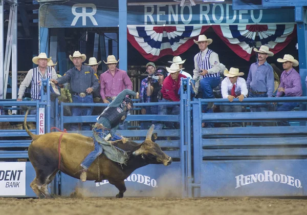 Reno Rodeo — Stockfoto