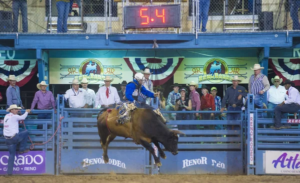 Reno Rodeo — Stock Photo, Image