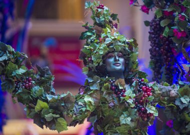 Venedik carnevale deneyim Festivali