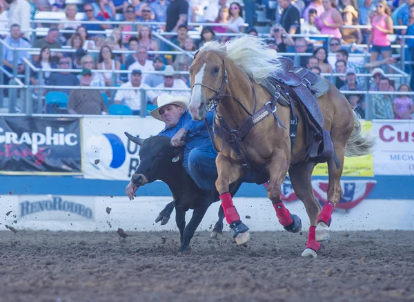 Rodeo di Reno — Foto Stock