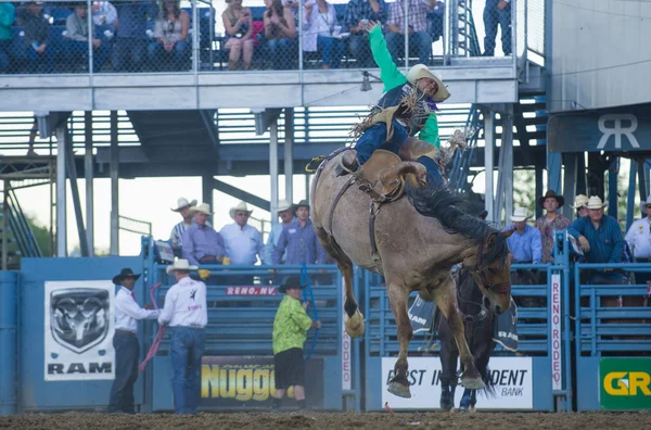 Rodeo de Reno —  Fotos de Stock