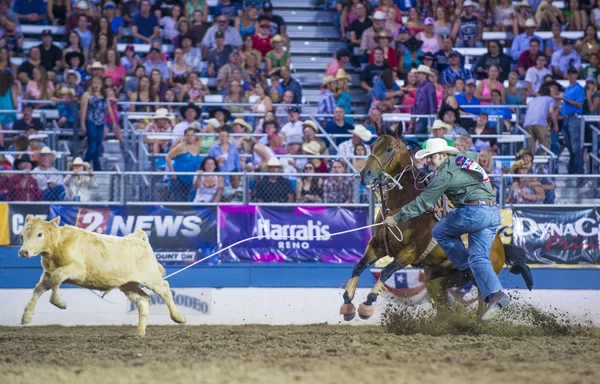 Rodeo de Reno — Foto de Stock