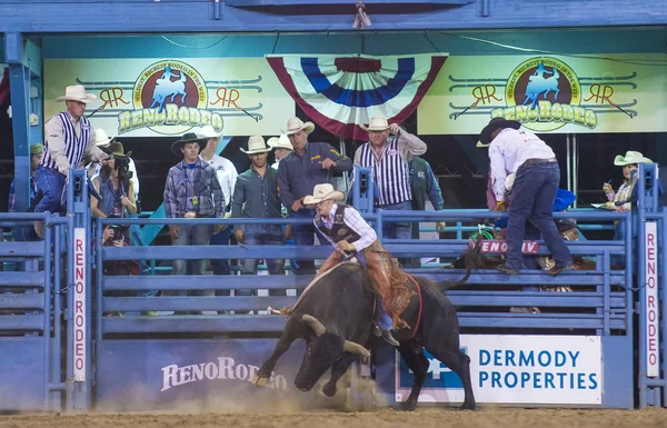 Reno Rodeo — Stockfoto