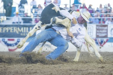 Reno Rodeo