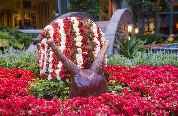 Bellagio Hotel Konservatuarı ve Botanik Bahçeleri — Stok fotoğraf