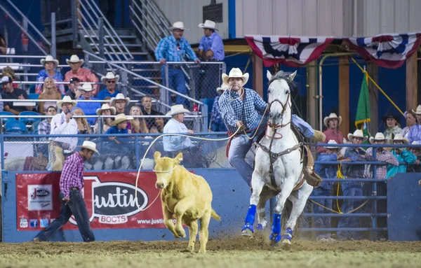 Rodeio de Reno — Fotografia de Stock