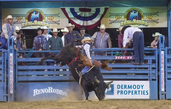 Reno Rodeo — Stock fotografie