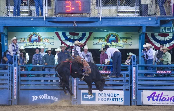 Reno Rodeo — Stock Photo, Image
