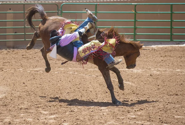 Gallup, indyjski rodeo — Zdjęcie stockowe