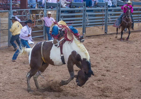 Gallup, indická rodeo — Stock fotografie