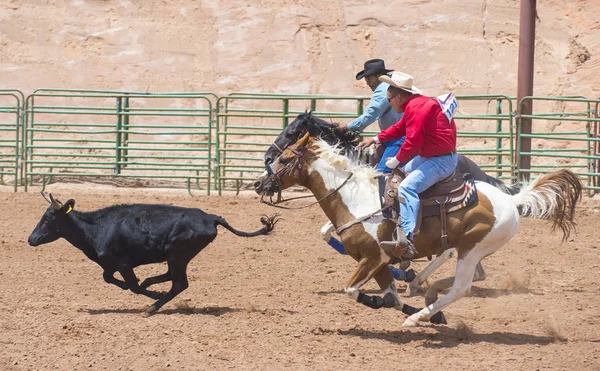 Gallup, indiska rodeo — Stockfoto