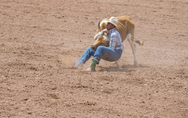 Gallup, indická rodeo — Stock fotografie