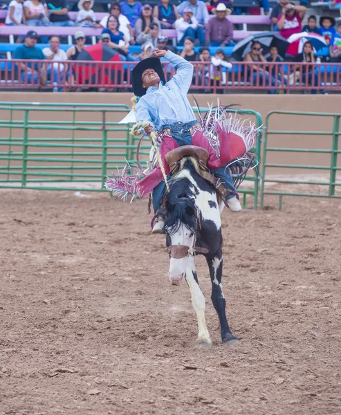 Gallup, Rodeio indiano — Fotografia de Stock