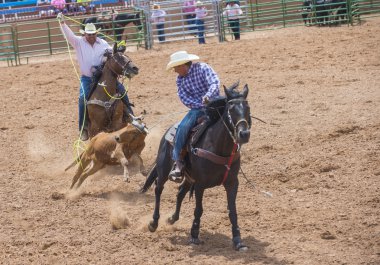 Gallup, Kızılderili rodeo