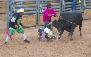 Reno Rodeo