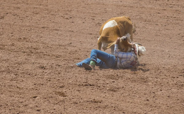 Gallup, indická rodeo — Stock fotografie