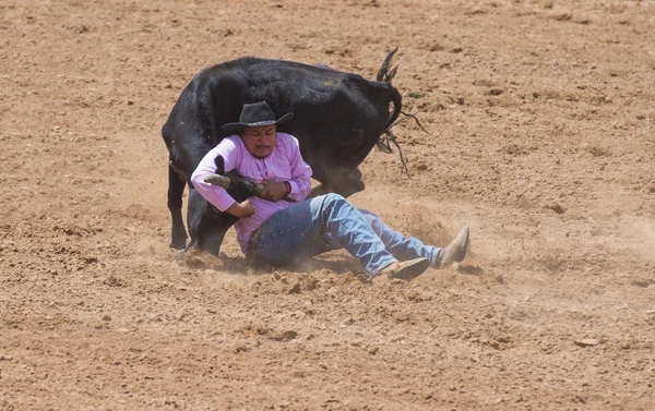 Gallup, Kızılderili rodeo