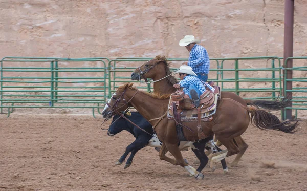 Gallup, indická rodeo — Stock fotografie