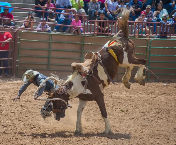 Gallup, indiai Rodeo — Stock Fotó