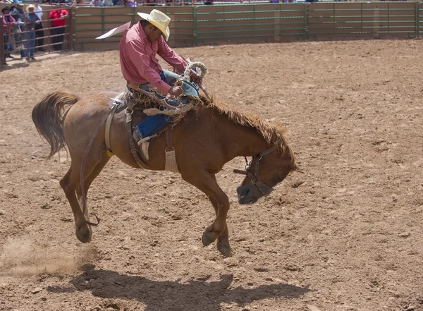 Gallup, indyjski rodeo — Zdjęcie stockowe