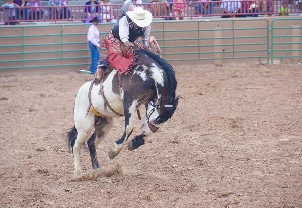 Gallup, indyjski rodeo — Zdjęcie stockowe