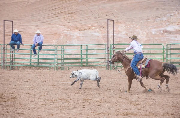 Gallup, Indiase rodeo — Stockfoto