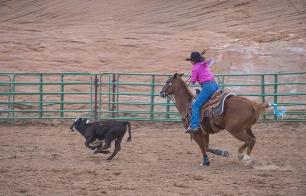 Gallup, indiska rodeo — Stockfoto