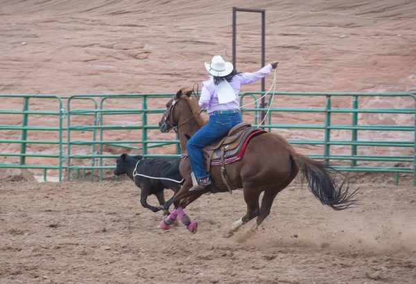 Gallup, indyjski rodeo — Zdjęcie stockowe