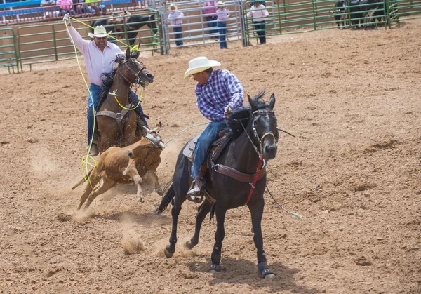 Gallup, Rodeo indiano — Foto Stock