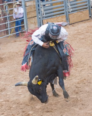 Gallup, Kızılderili rodeo
