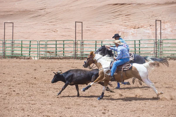 Gallup, Indiase rodeo — Stockfoto