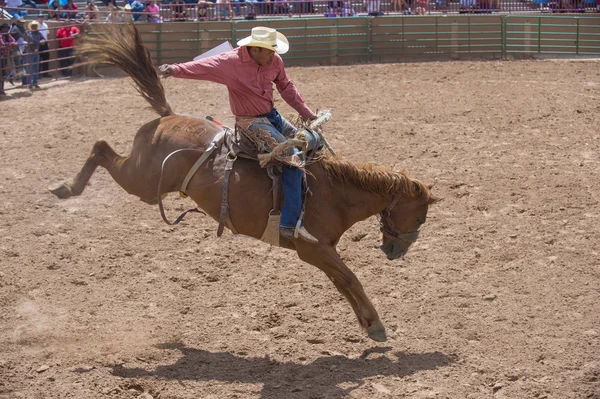 Gallup, indická rodeo — Stock fotografie