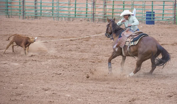Gallup, Indiase rodeo — Stockfoto