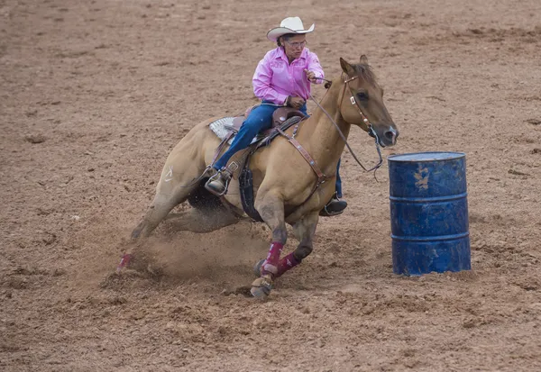 Reno Rodeo — Stock Photo, Image